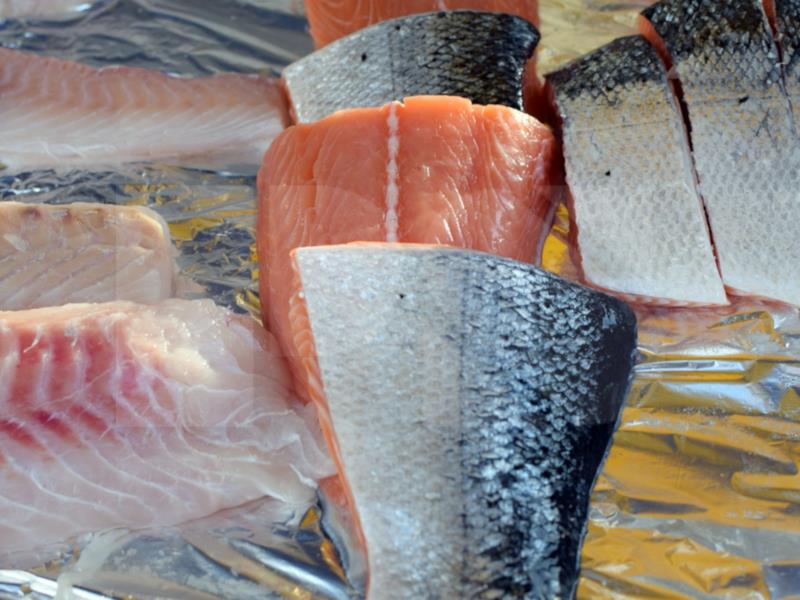 Atlantic Salmon Fillet