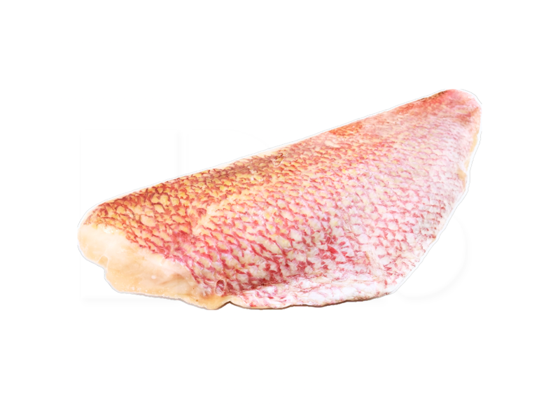 Red Fish Fillet