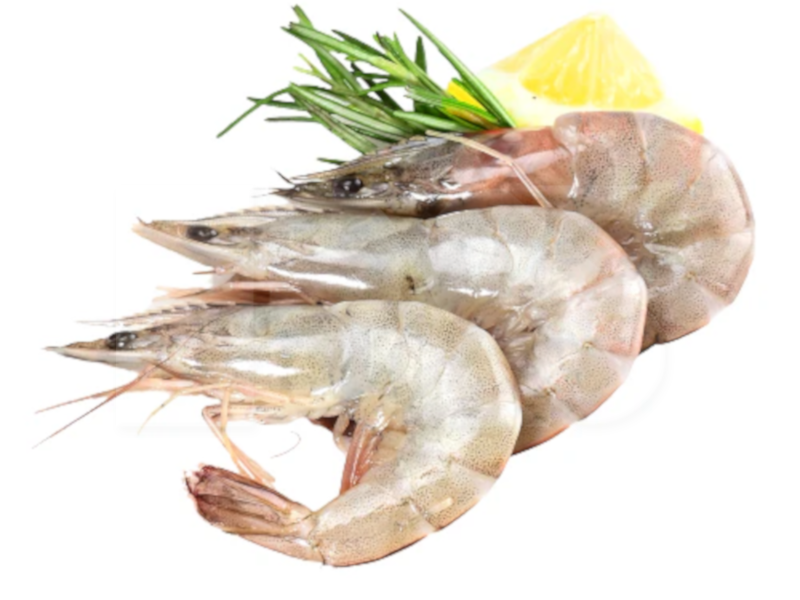Vannamei White Prawn Head On