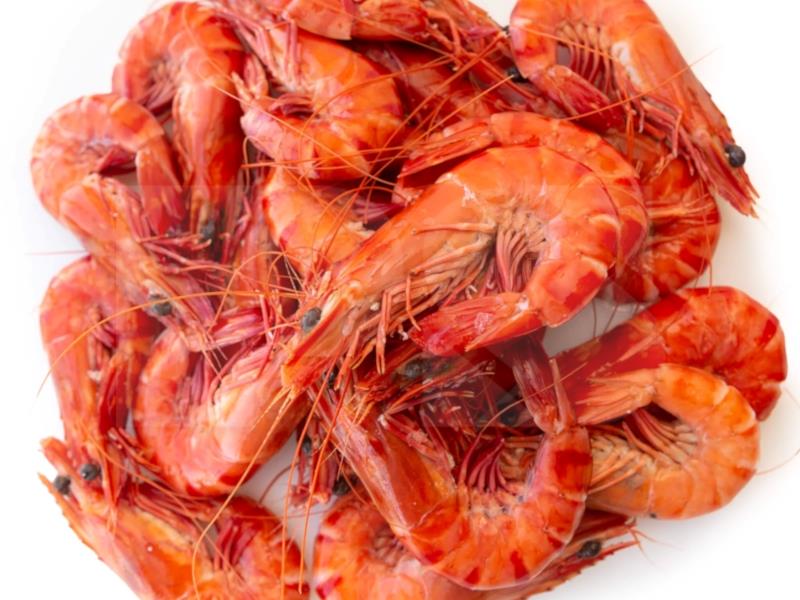 Cooked Tiger Prawn