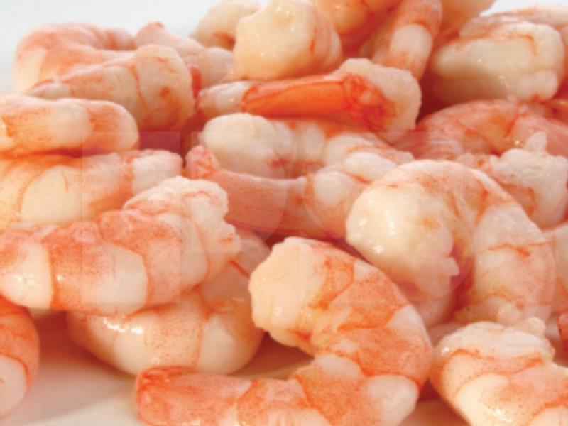Sea Prawn Meat PD