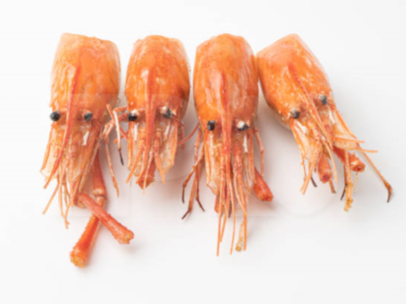 B/T Prawn Head