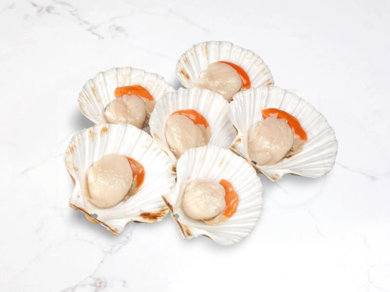 Half Shell Scallop