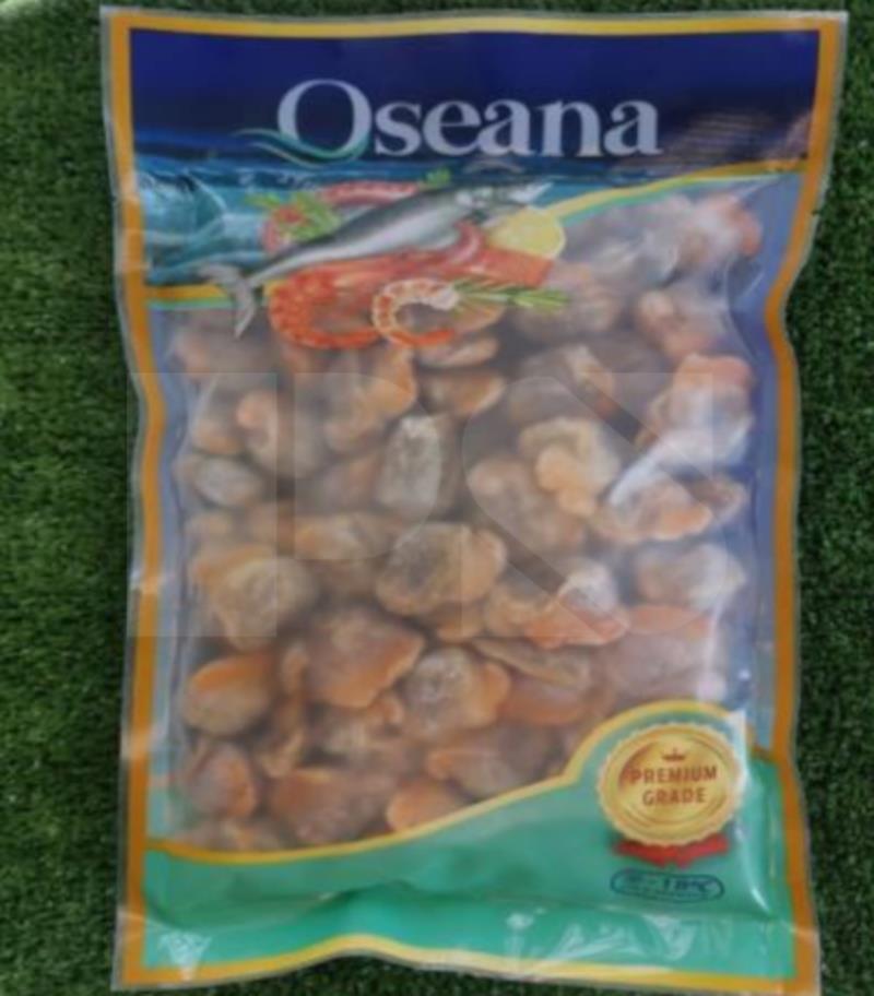 Oseana Isi Kerang
