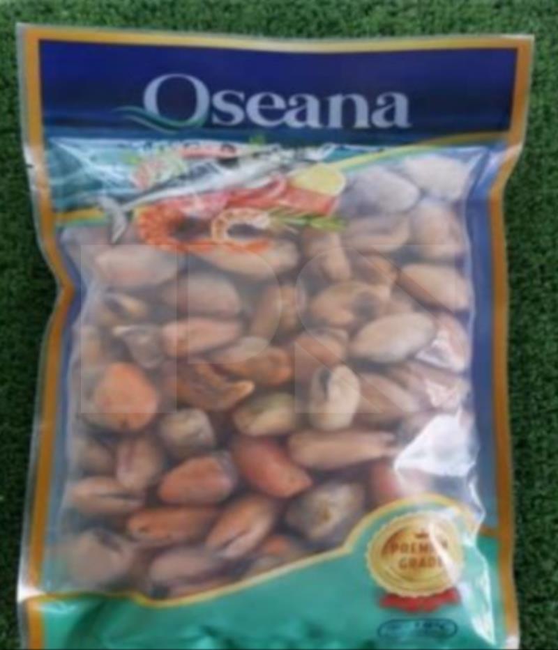 Oseana Isi Kupang