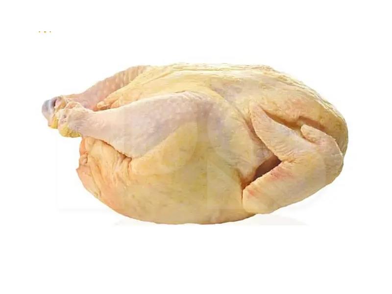 Ayam Tua