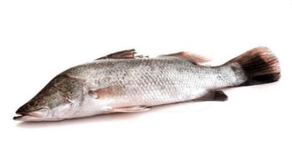 Seabass Whole Clean