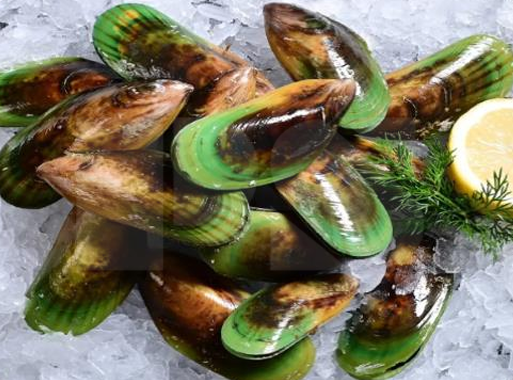 Whole Shell Green Mussel