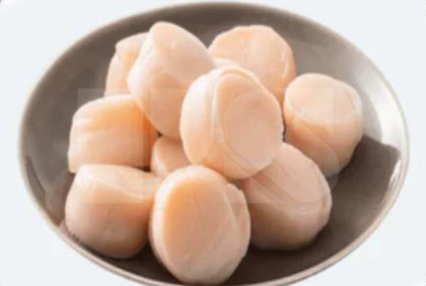 Hokaido Scallop