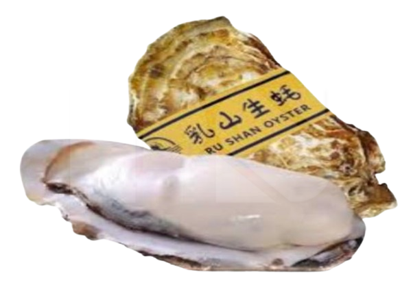 Rushan Oyster