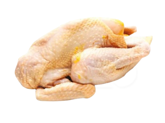 Ayam Kampung