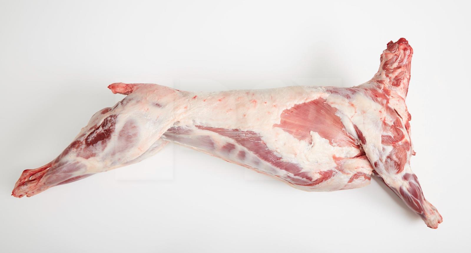 Lamb Carcass